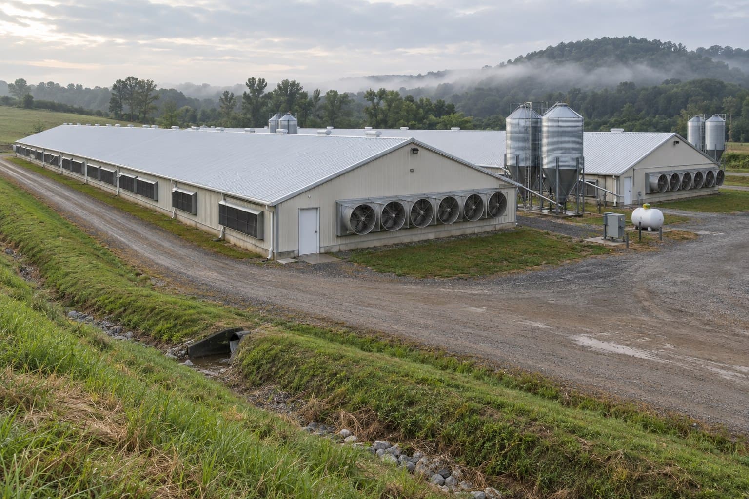 Completed poultry farm with long steel houses, exhaust fans and feed silos